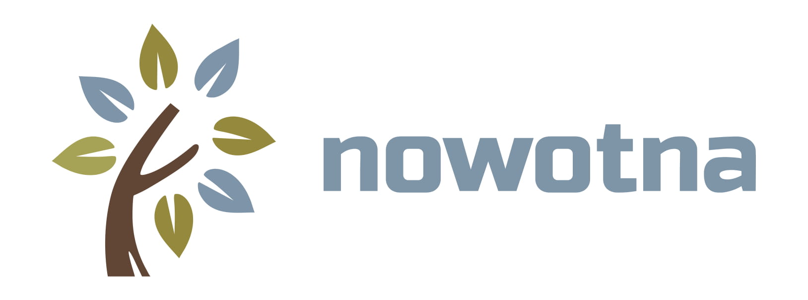 Nowotna